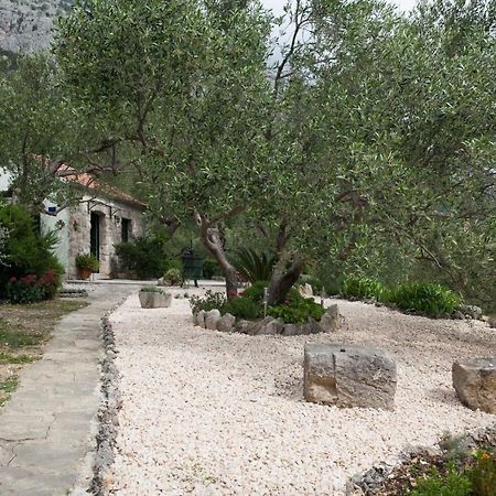 Holiday House Jano In Makarska, Jacuzzi Villa Exterior foto